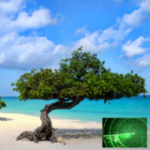 VR Guide: Aruba Icon