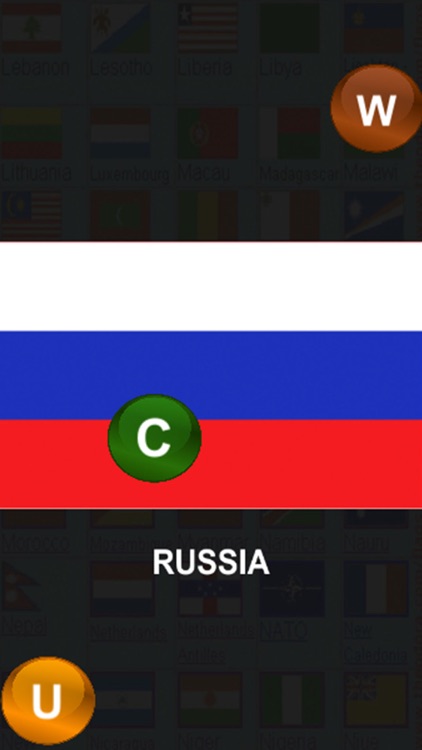 Flags World Quiz Learning Game screenshot-3