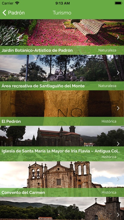 Padrón screenshot-4