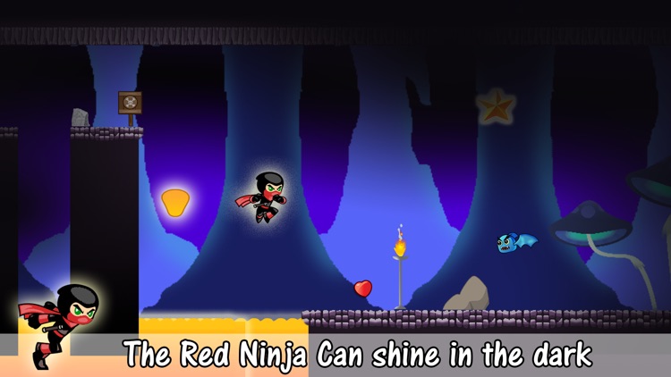 The Mini Ninja