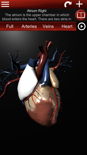 Circulatory System 3D Anatomy(圖4)-速報App