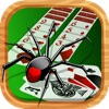 Spider Solitaire - Multiplayer