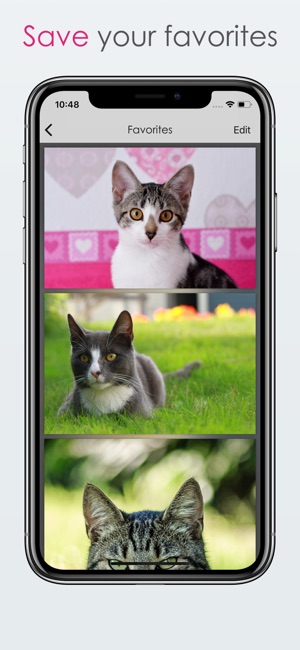 Shake for Cats(圖3)-速報App