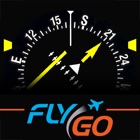 FlyGo HSI (IFR) Instructor