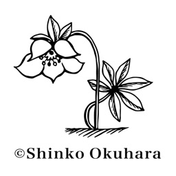 ShinkoArt