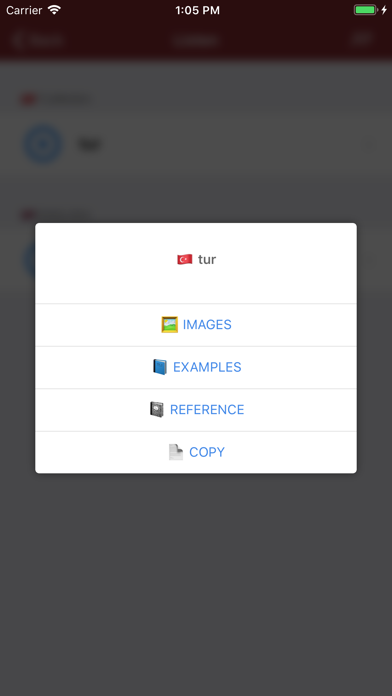 Turkish Dictionary - offline screenshot 4