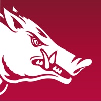 Kontakt Arkansas Razorbacks