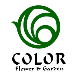 COLORflowers