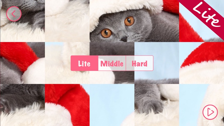 Kittens Lite - Easy Puzzle screenshot-4