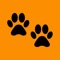 We provide secure and reliable pet care through our easy-to-use app