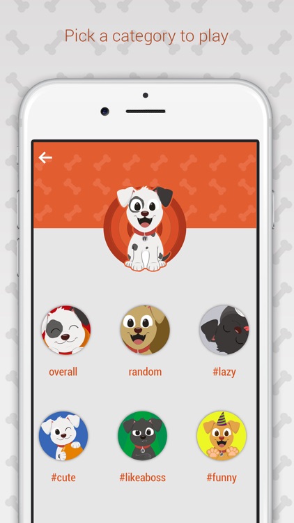 Hashdog - Dog's Social Network