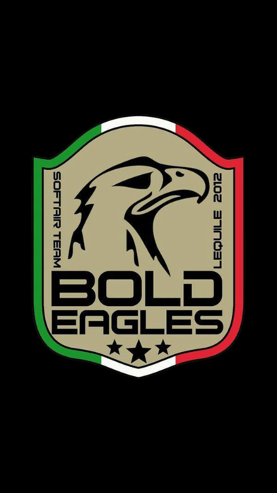 Bold Eagles screenshot 2