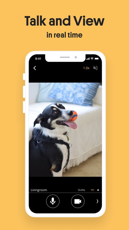 17 Best Pictures Alfred Security App Review - Alfred Home Security Camera App Review Safe Smart Living
