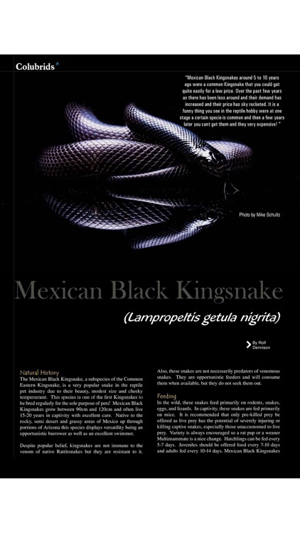 Ultimate Exotics Magazine