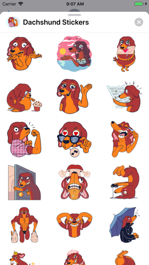 Dachshund Stickers