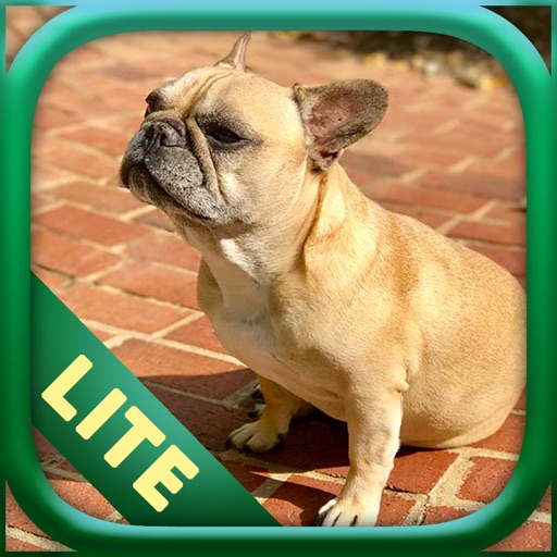 Dogs Lite - Photo Breeds Quiz