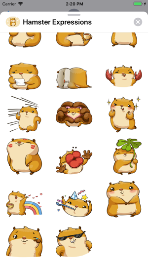 Hamster Expressions(圖5)-速報App