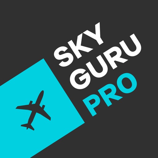 Sky Guru+ помощь в полете