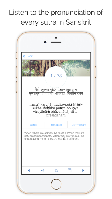 The Yoga Sutras Screenshot 4