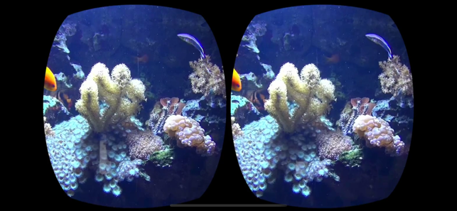 Aquarium Videos for Cardboard(圖5)-速報App