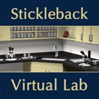 Stickleback Evolution Virtual Lab