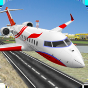 Airplane Pilot Flight