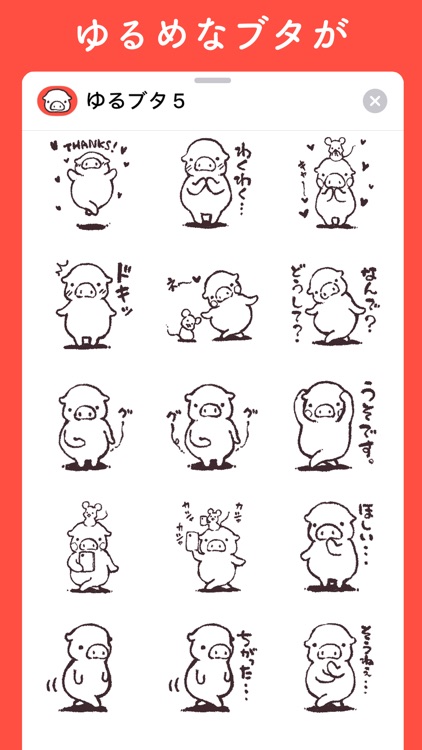 ゆるいブタの日常5