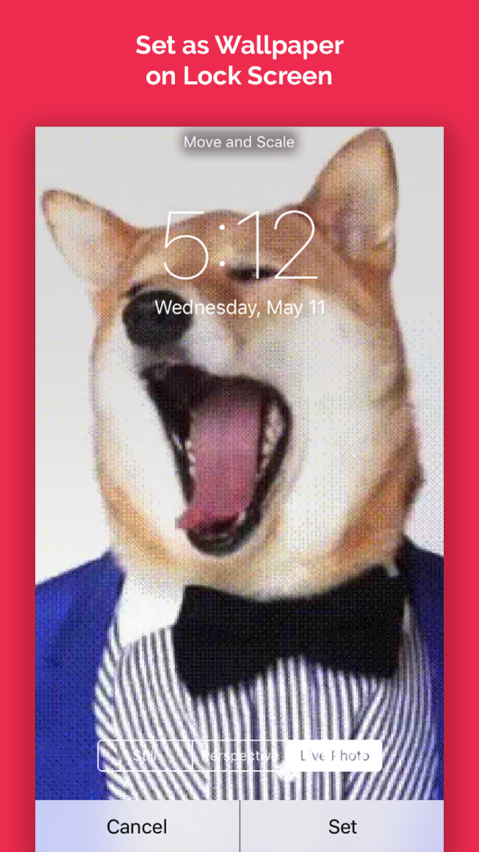 LivGIF - Discover Convert GIF