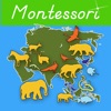Icon Montessori - Animals of Asia