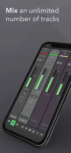 Captura de Pantalla 2 n-Track Studio | DAW iphone