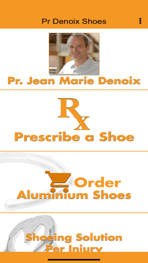 Pr Denoix Shoes