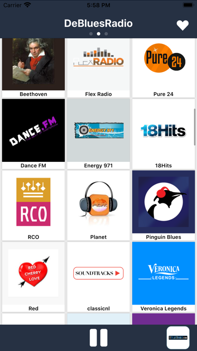 Radio Netherlands FM Online screenshot 2