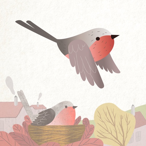 In volo con la matematica Download