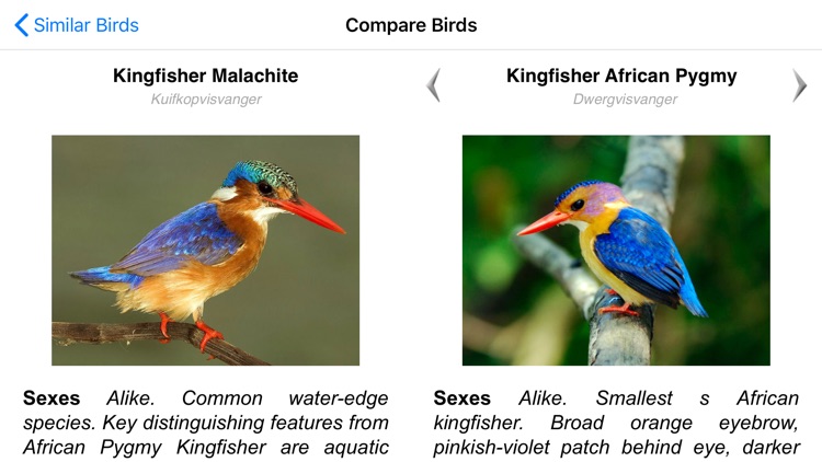 Roberts Bird Guide 2 screenshot-6