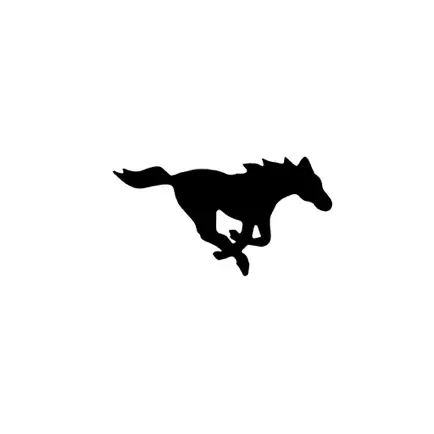 Ridgeview Mustangs Читы