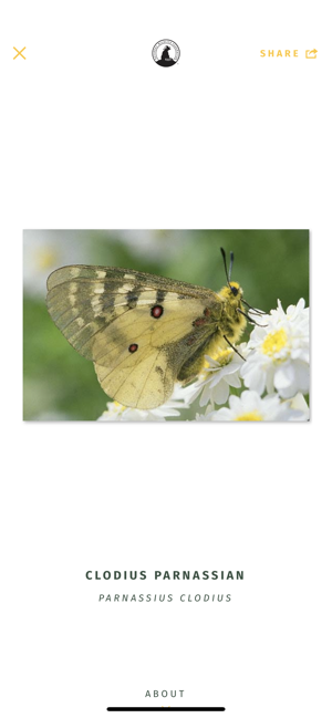 NWF Guide to Butterflies(圖1)-速報App