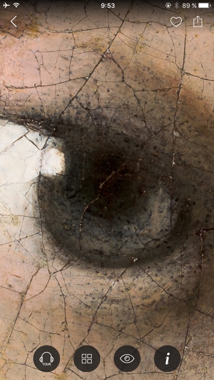 Second Canvas Mauritshuis screenshot-3