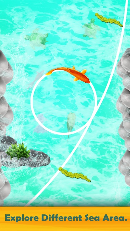 Koi Fish New 3D Game 2019