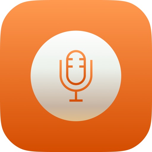 Voice Notes Diary