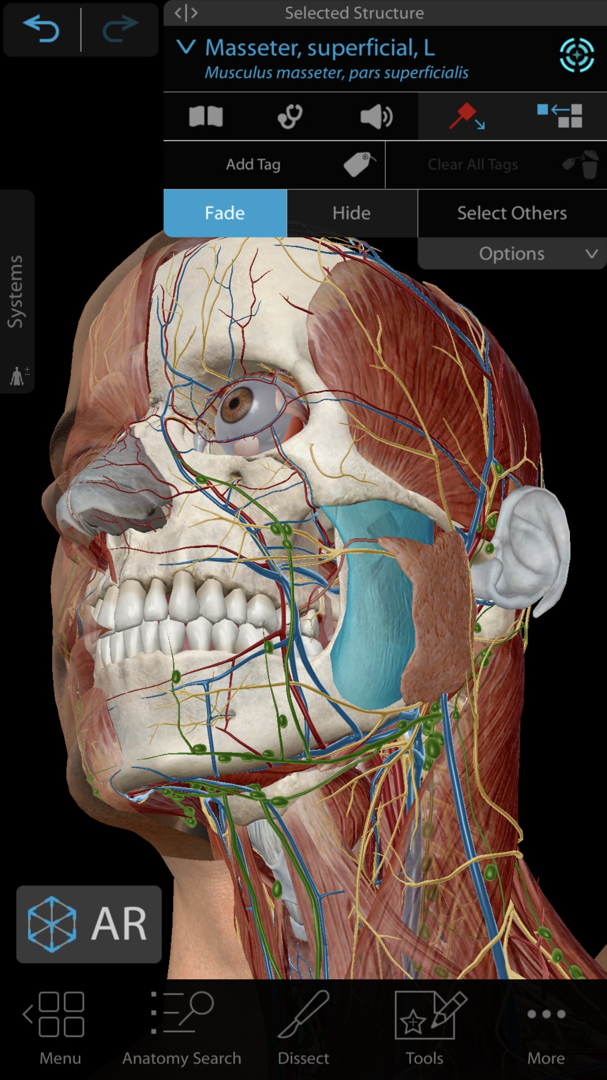 Promoções na App Store: Human Anatomy Atlas 2021, The ...