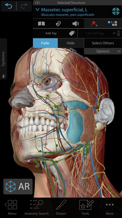 Human Anatomy Atlas 2021 screenshot-0