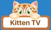 Kitten TV