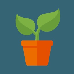 Plant Growth Quiz