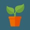 Plant Growth Quiz has amazing set of Plant Growth Quiz related questions categorised into levels as per your knowledge, you have to select the right answers from the given options in the time limit