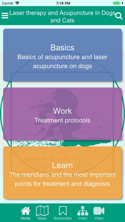 ACUPUNCTURE & LASER DOG & CAT