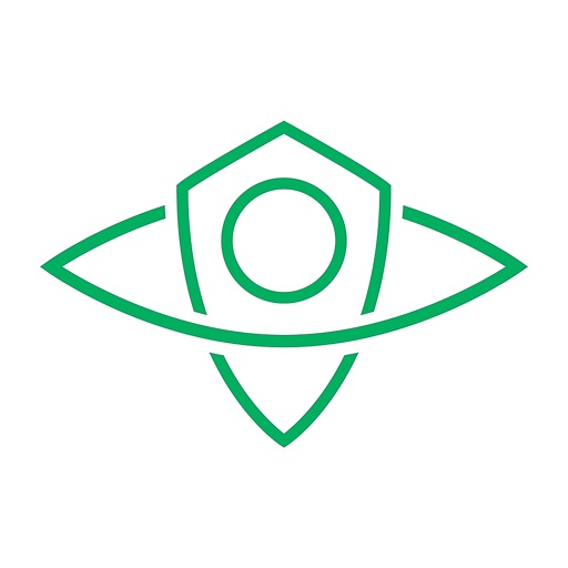 GoSafer Profissionais