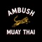The Ambush app is your portal to live Muay Thai classes and community with Ambush Online