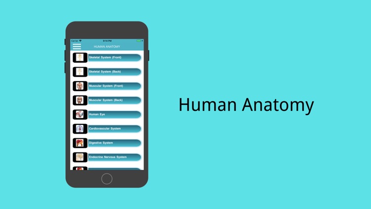 Human.Anatomy