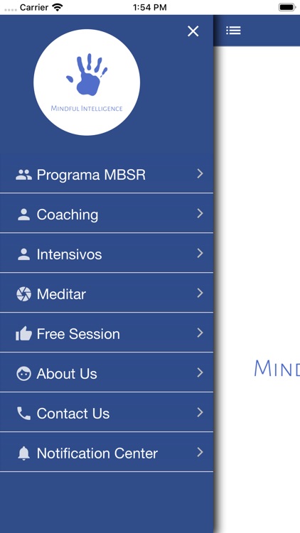 Mindful Intelligence