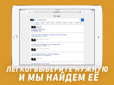 Скриншот из Reverse Image Search Extension